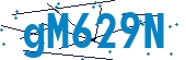 recaptcha