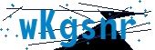 recaptcha