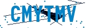 recaptcha