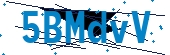 recaptcha