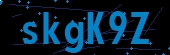 recaptcha