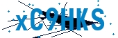 recaptcha