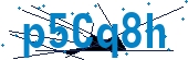 recaptcha
