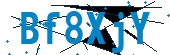 recaptcha