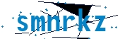 recaptcha