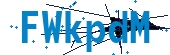 recaptcha
